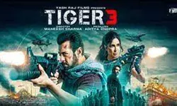 टाइगर 3 ने पहले सप्ताह में 220 करोड़ से अधिक की कमाई की टाइगर 3 ने पहले सप्ताह में 220 करोड़ से अधिक की कमाई की