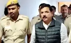 संजय सिंह को मिली अंतरिम जमानत की अर्जी दायर करने की सुप्रीम इजाजत संजय सिंह को मिली अंतरिम जमानत की अर्जी दायर करने की सुप्रीम इजाजत