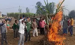 किसानों ने जलाई गन्ने की होली- बोले ब्याज के साथ मिल दे हमारा पैसा