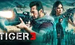 टाइगर 3 ने 250 करोड़ की कमाई