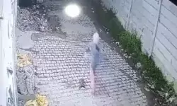 किशोरी का अपहरण- सीसीटीवी में भागती दिखाई दी लड़की किशोरी का अपहरण- सीसीटीवी में भागती दिखाई दी लड़की