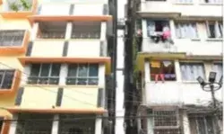 महिला ने अपनी जान देकर बचाई बिल्ली की जिंदगी- टॉप फ्लोर...