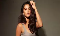 देवा में शाहिद कपूर के साथ काम करने को लेकर उत्साहित है पूजा हेगड़े देवा में शाहिद कपूर के साथ काम करने को लेकर उत्साहित है पूजा हेगड़े