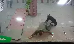 ताजमहल पर कुत्ते का राज- पर्यटक पर किया हमला- जमीन पर गिराकर काटा ताजमहल पर कुत्ते का राज- पर्यटक पर किया हमला- जमीन पर गिराकर काटा