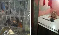 बदमाशों की घिनौनी करतूत- मंदिर में घुसकर तोड़ी मूर्तियां- मिली शराब.. बदमाशों की घिनौनी करतूत- मंदिर में घुसकर तोड़ी मूर्तियां- मिली शराब..