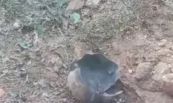 मतगणना से पहले आईईडी ब्लास्ट- सीआरपीएफ के दो जवान हुए..