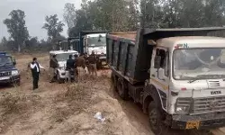 तहसीलदार का छापा- अवैध खनन में लगे डंपर पोकलेन ट्रैक्टर सीज तहसीलदार का छापा- अवैध खनन में लगे डंपर पोकलेन ट्रैक्टर सीज