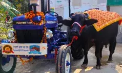 तीन दिवसीय मेले में बनाया रिकॉर्ड और भैंस ने जीत लिया ट्रैक्टर तीन दिवसीय मेले में बनाया रिकॉर्ड और भैंस ने जीत लिया ट्रैक्टर