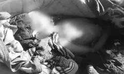 तांबा निकलते समय हुआ बम ब्लास्ट- हादसे में किशोर व मवेशी की मौत तांबा निकलते समय हुआ बम ब्लास्ट- हादसे में किशोर व मवेशी की मौत