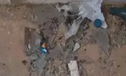 हॉस्टल में ब्लास्ट- उड़ी छात्र की हथेली- दीवार पर चिपके मांस.. हॉस्टल में ब्लास्ट- उड़ी छात्र की हथेली- दीवार पर चिपके मांस..