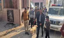 एक ही रात में नौ स्थानों पर चोरी- मंदिर मस्जिद को बनाया निशाना एक ही रात में नौ स्थानों पर चोरी- मंदिर मस्जिद को बनाया निशाना