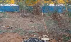 संसद में घुसपैठ मामला- पुलिस के हाथ लगे अहम सुराग- जले फोन बरामद संसद में घुसपैठ मामला- पुलिस के हाथ लगे अहम सुराग- जले फोन बरामद