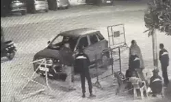 एंट्री करने से रोकने पर दरोगा ने खोया आपा-जड़े गार्ड को थप्पड़-हंगामा एंट्री करने से रोकने पर दरोगा ने खोया आपा-जड़े गार्ड को थप्पड़-हंगामा