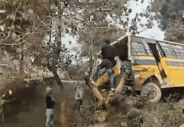 स्कूली बस पेड़ से टकराई-मची चीख पुकार-अगला हिस्सा बुरी तरह
