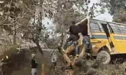 स्कूली बस पेड़ से टकराई-मची चीख पुकार-अगला हिस्सा बुरी तरह