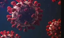 देश में कोरोना ने फिर पकड़ी रफ्तार-8 महीने बाद मिले 600 से भी अधिक.. देश में कोरोना ने फिर पकड़ी रफ्तार-8 महीने बाद मिले 600 से भी अधिक..