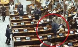 संसद भवन की सुरक्षा में अब सीआईएसएफ भी देगी पहरा- अभी तक.... संसद भवन की सुरक्षा में अब सीआईएसएफ भी देगी पहरा- अभी तक....