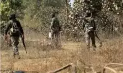 जंगल में हुए आईईडी ब्लास्ट की चपेट में आकर एसओजी के दो जवान जख्मी जंगल में हुए आईईडी ब्लास्ट की चपेट में आकर एसओजी के दो जवान जख्मी