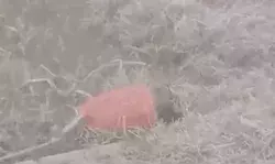 सिलेंडर के अंदर छुपाया गया आईईडी बम बरामद- किया डिफ्यूज सिलेंडर के अंदर छुपाया गया आईईडी बम बरामद- किया डिफ्यूज