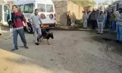 कमरे में सो रही लड़की की गला काटकर हत्या- BA फर्स्ट ईयर की थी छात्रा कमरे में सो रही लड़की की गला काटकर हत्या- BA फर्स्ट ईयर की थी छात्रा