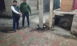 साफ सफाई में फ़िसडडी रही पालिका नागरिकों को पानी देने में भी विफल साफ सफाई में फ़िसडडी रही पालिका नागरिकों को पानी देने में भी विफल