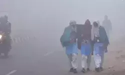 ठंड व कोहरे का सितम जारी-20 जनवरी तक डीएम ने स्कूल किए बंद ठंड व कोहरे का सितम जारी-20 जनवरी तक डीएम ने स्कूल किए बंद