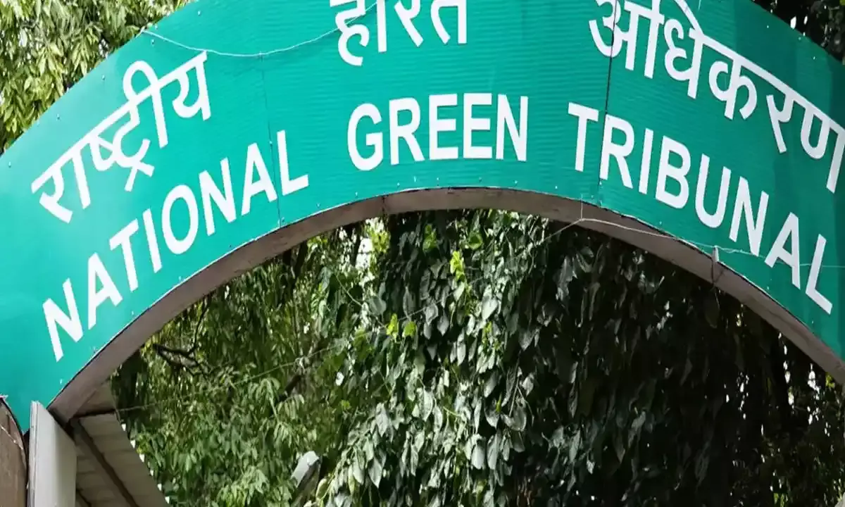 अधिवक्ताओं की याचिका पर जिलाधिकारी और चेयरमैन को NGT का नोटिस