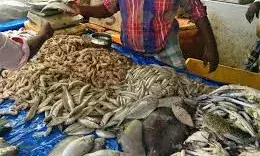 UP में 22 जनवरी को नहीं मिलेगी मीट व मछली- शराब पर पहले ही पाबंदी