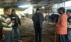 गोवंश को शीतलहर से बचने की कवायद - ADME ने गौशालाओं का निरीक्षण.. गोवंश को शीतलहर से बचने की कवायद - ADME ने गौशालाओं का निरीक्षण..