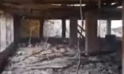 लाखों का नुक़सान- मुर्गी फार्म में लगी आग में हजारों चूजे जलकर हुए राख