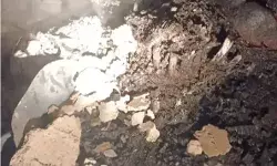 गैस सिलेंडर में लगी आग में जिंदा जला होमगार्ड- पड़ोसी भी बुरी तरह... गैस सिलेंडर में लगी आग में जिंदा जला होमगार्ड- पड़ोसी भी बुरी तरह...