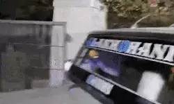 बिलकिस बानो गैंगरेप- SC की फटकार के बाद 11 दोषियों का जेल में सरेंडर बिलकिस बानो गैंगरेप- SC की फटकार के बाद 11 दोषियों का जेल में सरेंडर