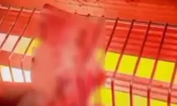 दिखाई औकात धार्मिक माहौल बिगड़ने का प्रयास- धार्मिक चित्र जलाकर.. दिखाई औकात धार्मिक माहौल बिगड़ने का प्रयास- धार्मिक चित्र जलाकर..