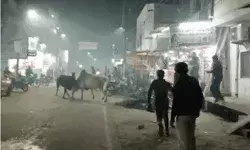 आबकारी मंत्री के घर के सामने महासंग्राम- 17 गाड़ियां क्षतिग्रस्त आबकारी मंत्री के घर के सामने महासंग्राम- 17 गाड़ियां क्षतिग्रस्त