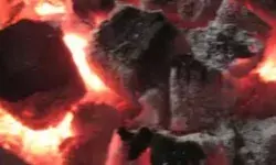 ठंड से बचने को जलाई गई अंगीठी ले गई दो की जान- एक गंभीर