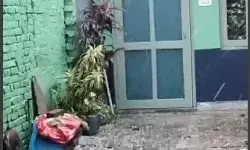 बारिश के बजाय ओलों के रूप में गिरी बर्फ- बिछ गई जमीन पर सफेद चादर