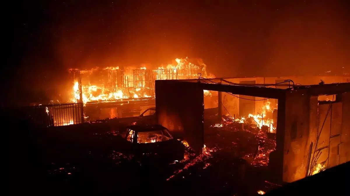 तड़के तड़क जंगल में लगी भीषण आग - 10 लोगों की मौत की खबर