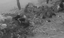 लड़की की हत्या करने के बाद उपलों के बिटोडे में रखकर जलाई लाश लड़की की हत्या करने के बाद उपलों के बिटोडे में रखकर जलाई लाश