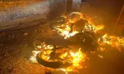 बोले DGP मदरसा तो बस बहाना- हिंसा की पहले से साजिश- लगेगा NSA बोले DGP मदरसा तो बस बहाना- हिंसा की पहले से साजिश- लगेगा NSA