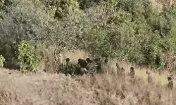 फिर सुलग उठा मणिपुर- इंफाल में हुई हिंसा में एक की मौत- कई हुए जख्मी