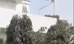 नाथ ने कमल के अरमानों पर फेरा पानी- बोले कमलनाथ नहीं जा रहा भाजपा में