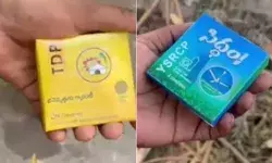 कंडोम बांट रही पार्टियों को लेकर सियासी बवाल- वियाग्रा बांटने की दी सलाह कंडोम बांट रही पार्टियों को लेकर सियासी बवाल- वियाग्रा बांटने की दी सलाह