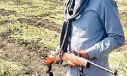 महंगाई का असर- CCTV के साथ बंदूकधारी गार्डों से लहसुन की रखवाली