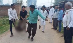 पटाखा फैक्ट्री में ब्लास्ट- चार लोगों की गई जान- कई की हालत गंभीर पटाखा फैक्ट्री में ब्लास्ट- चार लोगों की गई जान- कई की हालत गंभीर