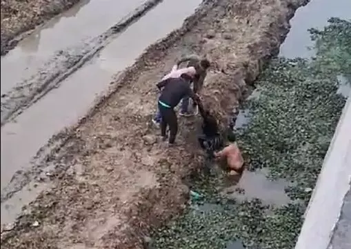 एलिवेटेड कॉरिडोर से लड़की ने लगाई छलांग- कूदते ही मची अफरा तफरी एलिवेटेड कॉरिडोर से लड़की ने लगाई छलांग- कूदते ही मची अफरा तफरी
