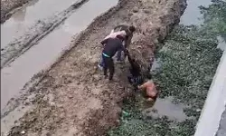 एलिवेटेड कॉरिडोर से लड़की ने लगाई छलांग- कूदते ही मची अफरा तफरी एलिवेटेड कॉरिडोर से लड़की ने लगाई छलांग- कूदते ही मची अफरा तफरी