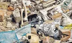 खाली पड़े प्लाट में मानव हड्डियां एवं नरमुंड मिलने से मचा हड़कंप खाली पड़े प्लाट में मानव हड्डियां एवं नरमुंड मिलने से मचा हड़कंप