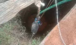 खेत पर सोने के लिए गया वृद्ध किसान कुएं में पड़ा मिला- हालत गंभीर खेत पर सोने के लिए गया वृद्ध किसान कुएं में पड़ा मिला- हालत गंभीर