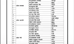 गजब- प्रदेश अध्यक्ष की नियुक्ति से पहले ही बीजेपी कार्यकारणी की घोषणा
