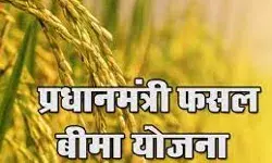 फसल बीमा योजना में 23 करोड़ किसानों के दावों का भुगतान किया गया